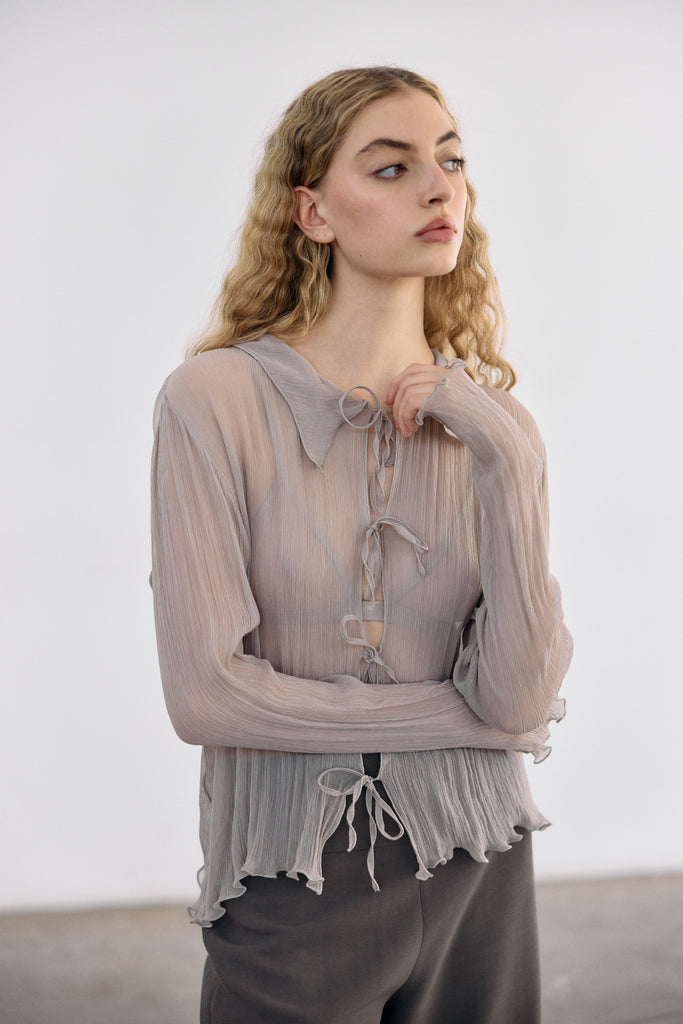 Sheer Silk Chiffon Blouse - Arena